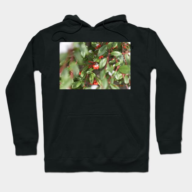 Berries Hoodie by rilsshopp